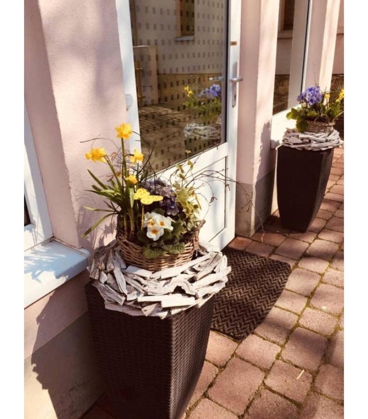Ferienwohnung Marina An Der Romantischen Strasse Weikersheim Exteriér fotografie